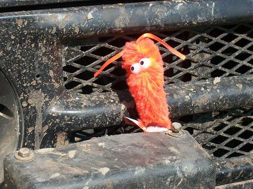 478x352 pixels (42K)