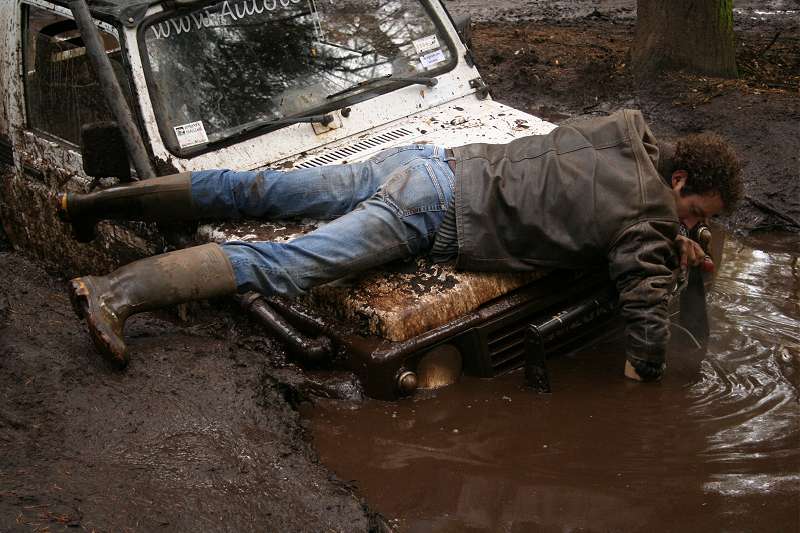 778x510 pixels (66K)