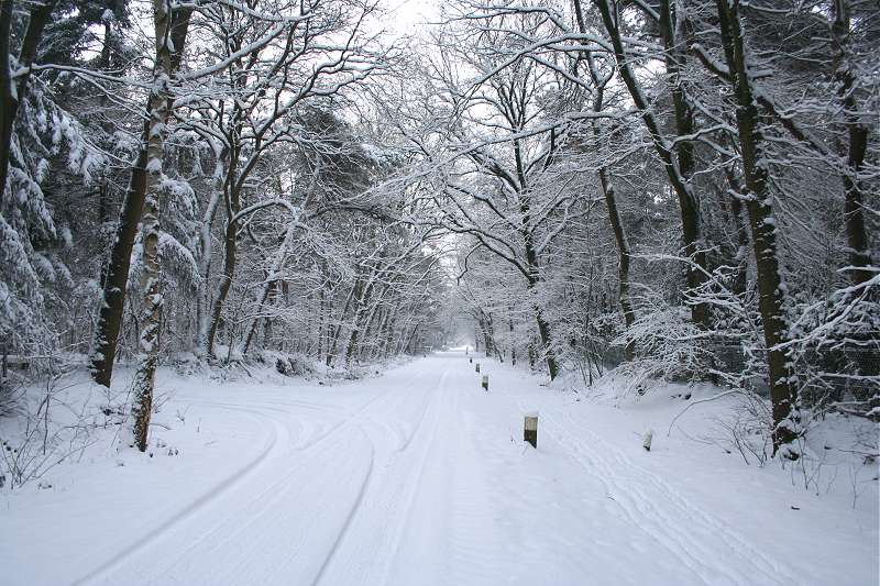 778x510 pixels (96K)